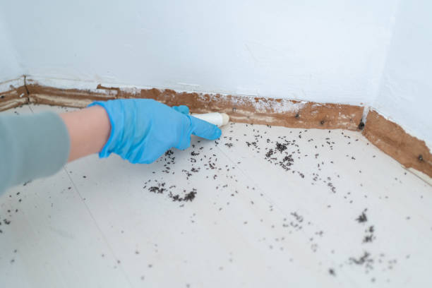 Real Estate Pest Inspections in Colfax, WA